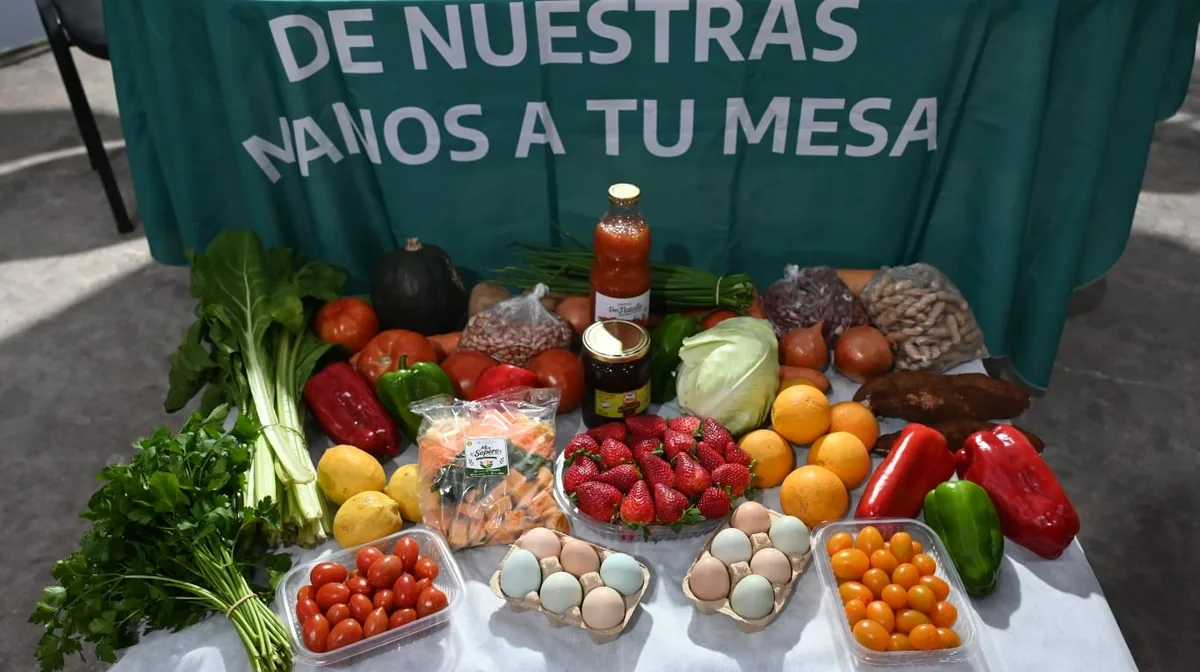 Alianza productiva: llevan arroz y alimentos correntinos a las ferias bonaerenses