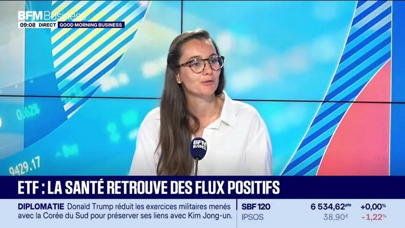 En portefeuille : Or, santé, financières, IA... les tendances à suivre via les ETF - 17/08