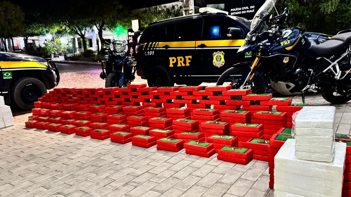 Quase meia tonelada de cocaína escondida em caminhão é apreendida no PI