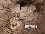 Meet the world's oldest drug user: Indonesian hunter-gatherer got high on mind-altering nuts 25,000 years ago, study finds