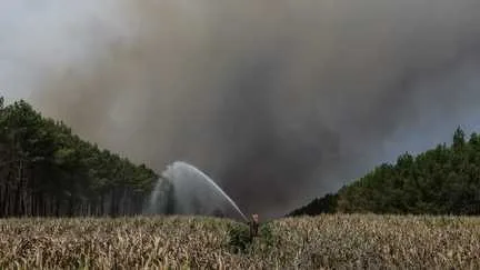 Gironde : après la canicule et les incendies, "la quasi-totalité des productions" sera touchée, selon la Chambre d'agriculture