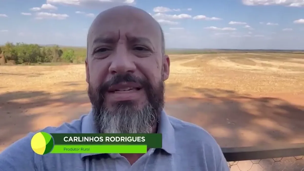 Preparação do solo é fundamental para a nova safra de soja no Brasil