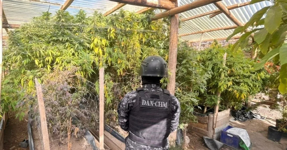 Confirman la prisión domiciliaria para el principal acusado del secuestro récord de marihuana en Chos Malal