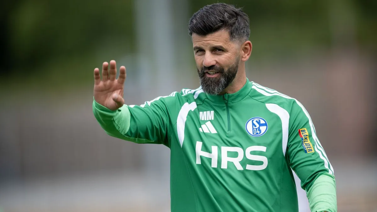 1. Runde im DFB-Pokal: Ein Spieler fehlt Schalke im DFB-Pokal in Halle