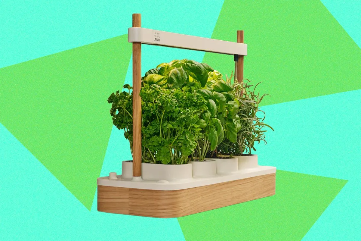 Auk Mini 2 Indoor Smart Garden Review: Better Where It Counts