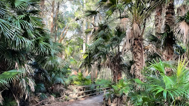 Multiple women allegedly targeted on northern beaches walking trails