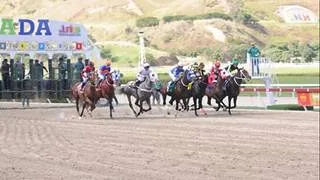 ¡Último minuto! Retiran a este favorito que sacude el Pool de 4 del domingo en La Rinconada R36