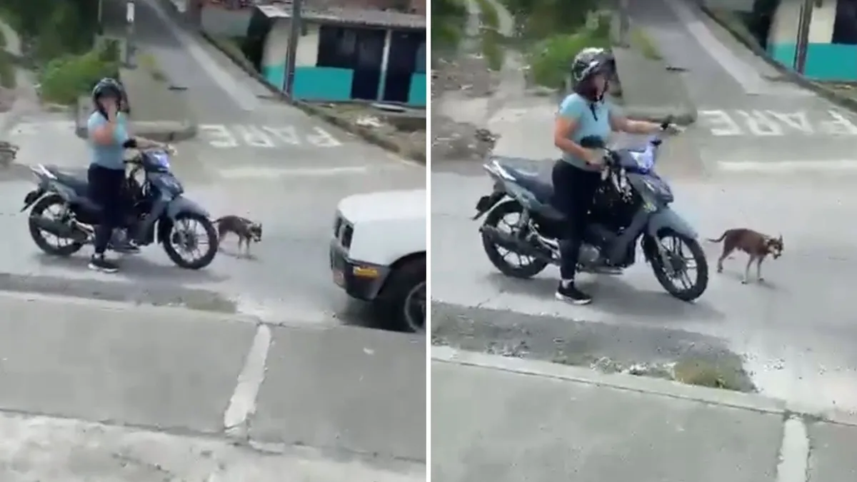 Indignación por video de una mujer que abandonó a su perro en una vía de Dosquebradas tras llevarlo amarrado a una moto: “Muerde a la gente”
