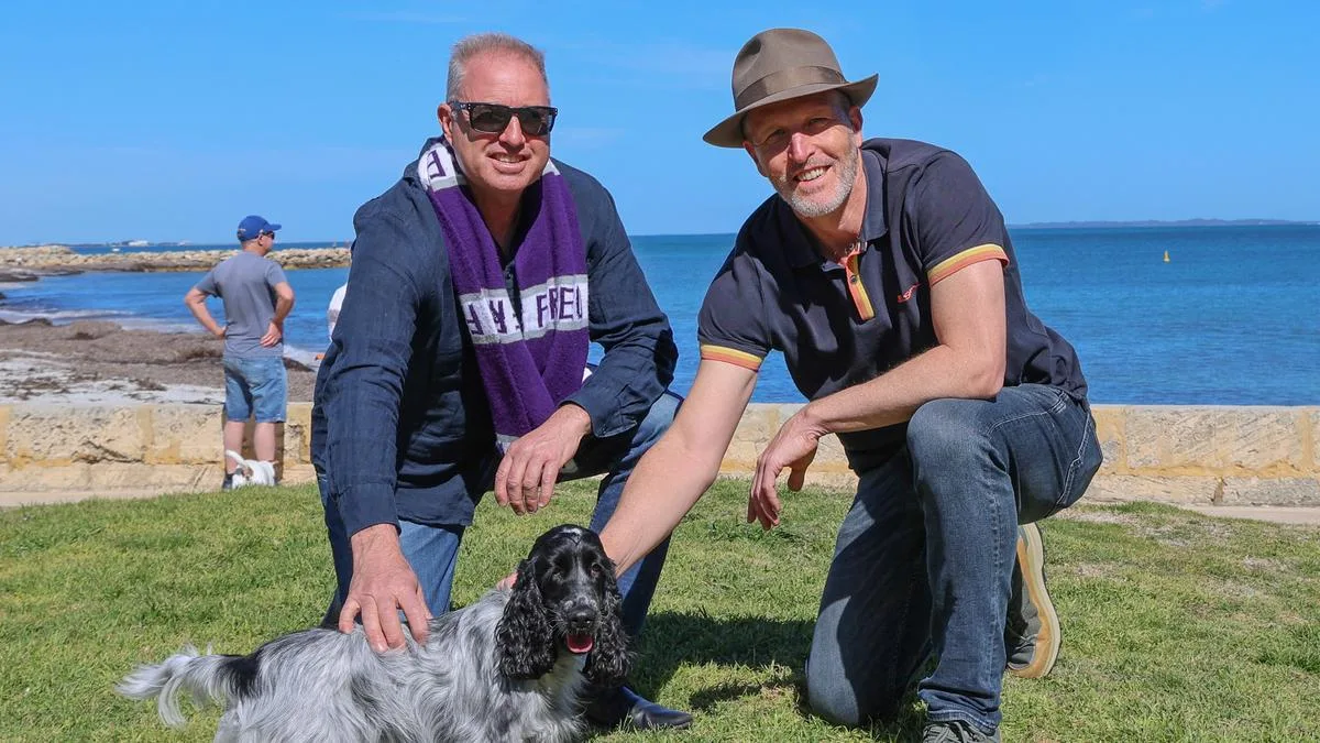 South Beach dog exercise area to receive multi-million dollar upgrades after years of local push