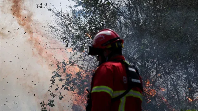 Fogo em Penacova mobiliza mais de 200 operacionais e 13 meios aéreos