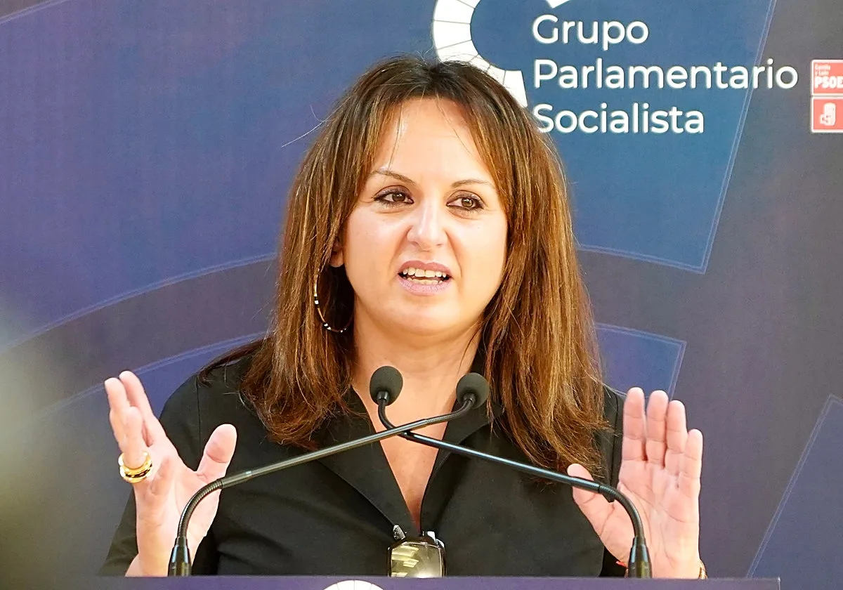 El PSOE responde a Mañueco que «histórico» es el dinero que recibe la Junta del Gobierno