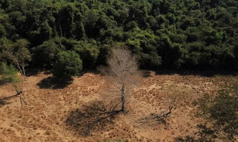 A resistência oculta do brasileiro ao meio ambiente