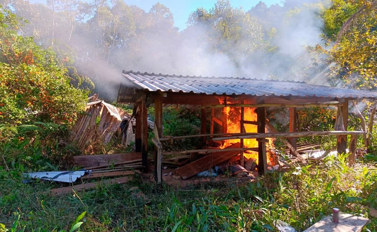 Barracão usado por caçadores é destruído em operação no Parque Estadual das Lauráceas na Grande Curitiba