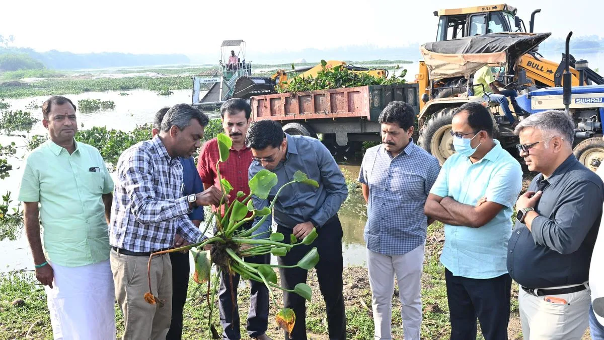 Nanjarayan Bird Sanctuary restored to winged visitors post removal of water hyacinth