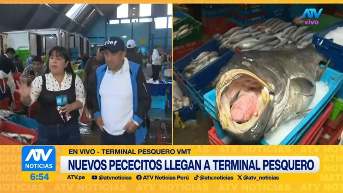 El ceviche en Perú cambia de sabor por El Niño: Nuevas especies de pescado llegan a los restaurantes de Lima ante escasez