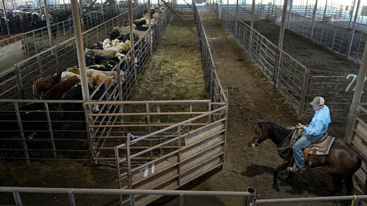 In 1959, he started a livestock auction in a chicken coop; 67 years later, his daughters run it