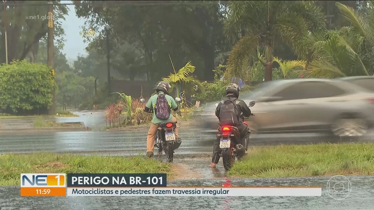 VÍDEOS: NE1 de quarta-feira, 19 de agosto de 2026