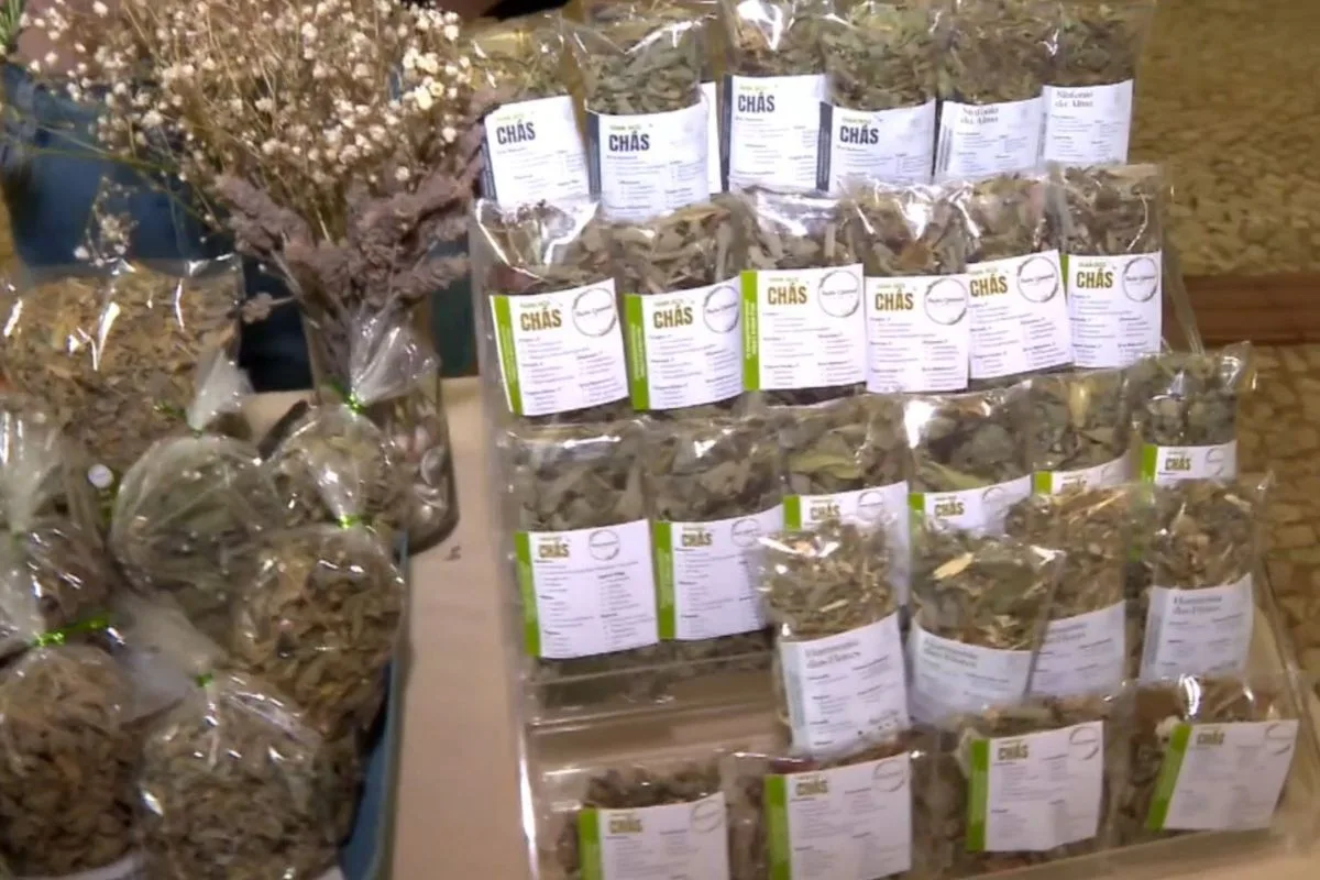Remédio caseiro faz mal? Ciência alerta para riscos de plantas