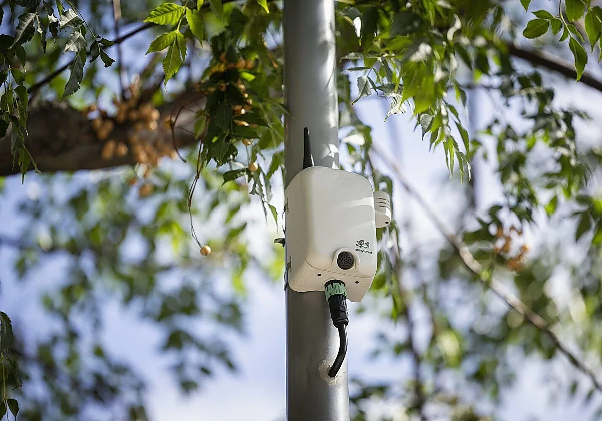 Micrófonos con inteligencia artificial para 'escuchar' a aves y murciélagos
