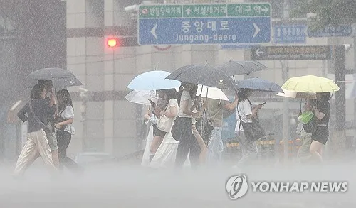 경북 동해안·북부 곳에 따라 시간당 40㎜ 비…피해 신고 없어(종합)