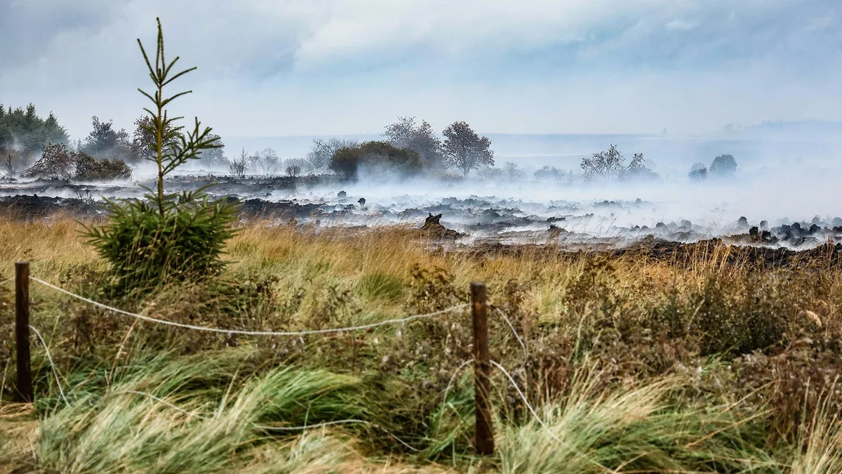 Waldbrände in Europa: Waldbrand in Belgien ist "eingekreist"