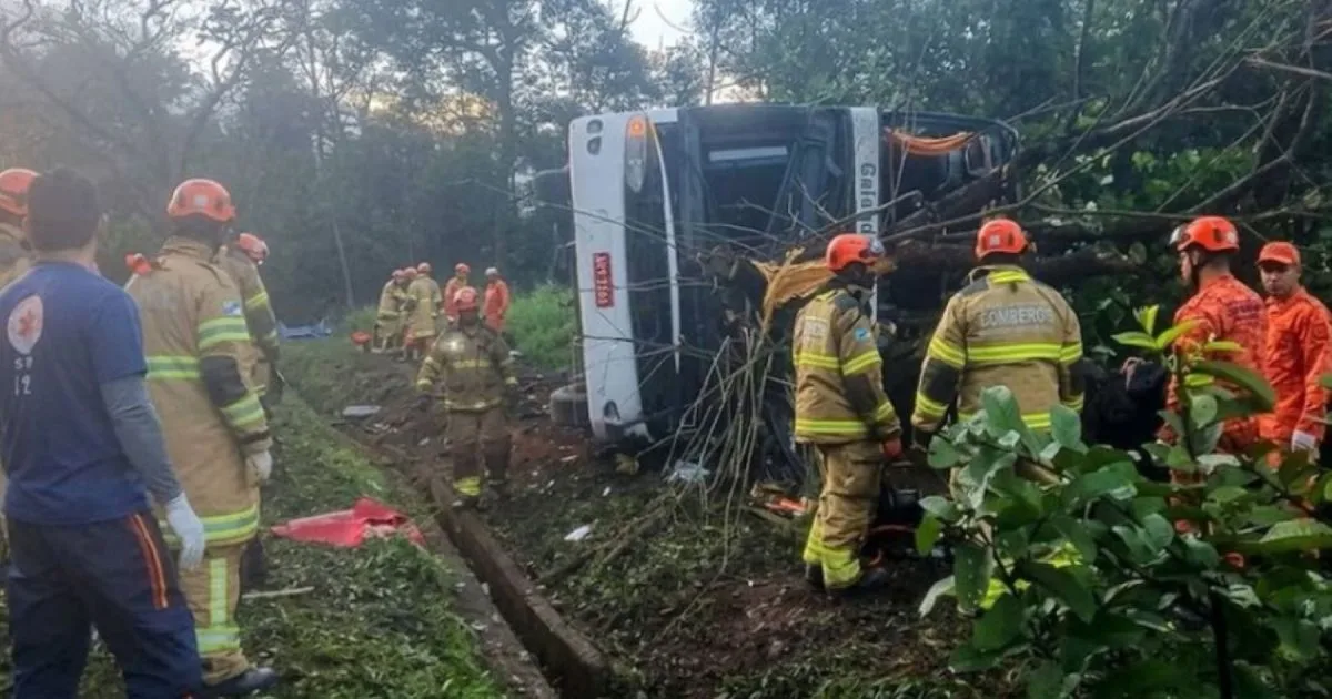 Trágico accidente en Brasil: al menos diez muertos y decenas de heridos por el vuelco de un micro turístico