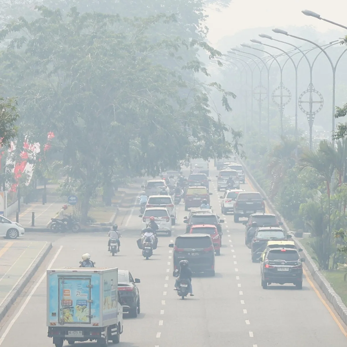 Sumatra und Kalimantan - Indonesiens Polizei nimmt nach Waldbränden dutzende Verdächtige fest