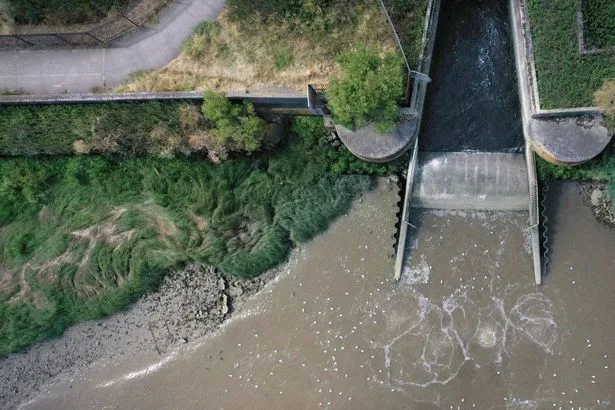 Water firms accused of dumping sewage in rivers and seas over 43,000 hours over summer