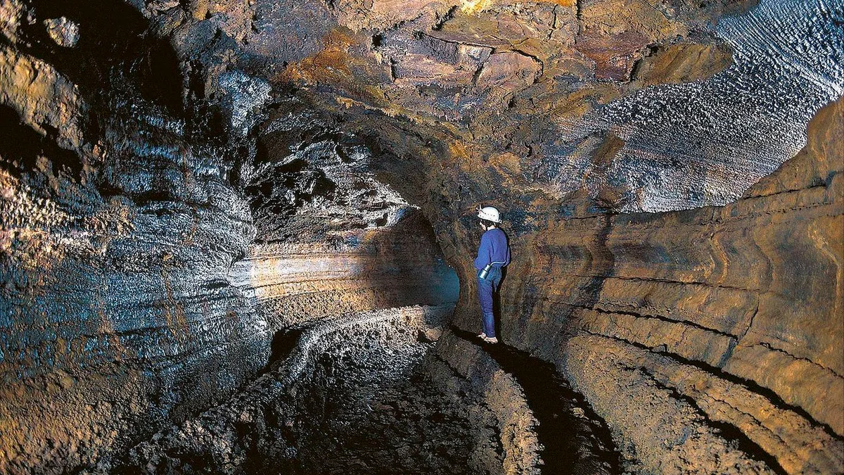 Hace 27.000 años, un volcán selló una cueva de 18,5 km en Tenerife: ahora en su interior viven 190 especies únicas