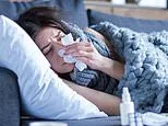Flunami warning: Cases of flu surge to highest level since 2022 - amid COVID spike and warning of winter hospital crisis in autumn