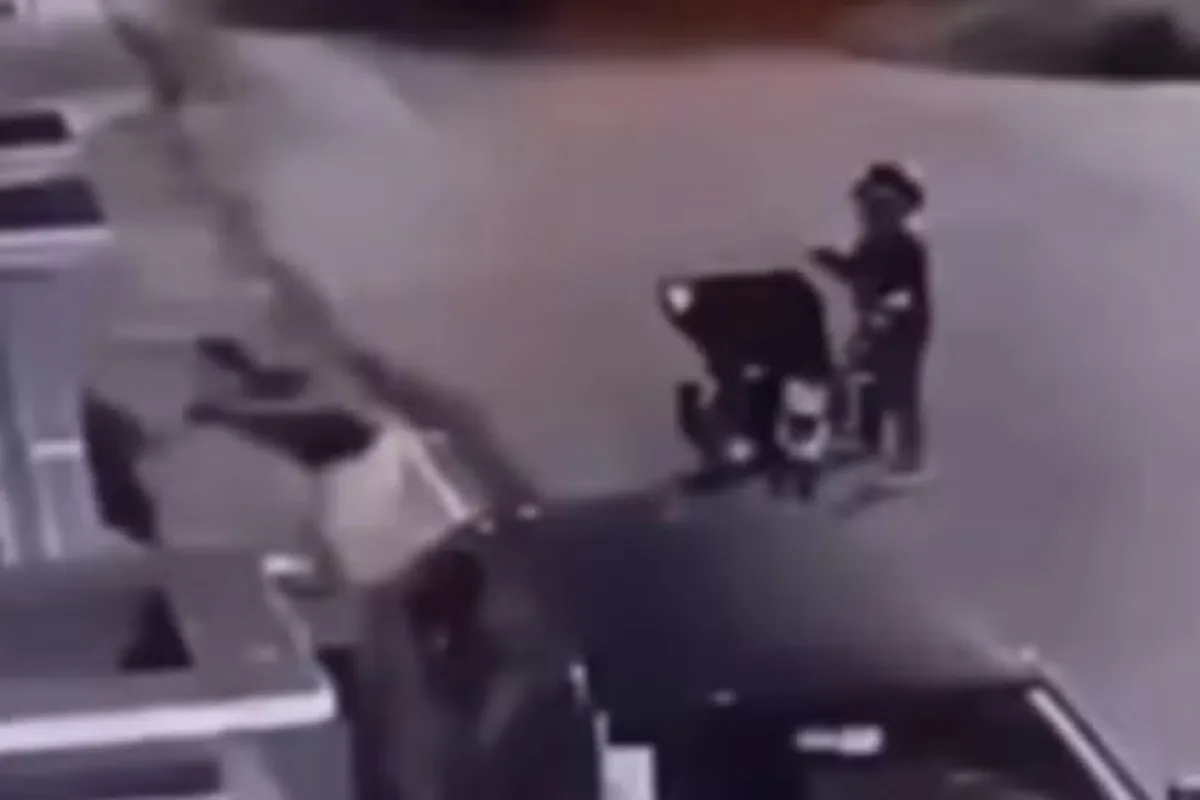 Bandido tenta roubar pizza de cliente e é agredido durante entrega em MT