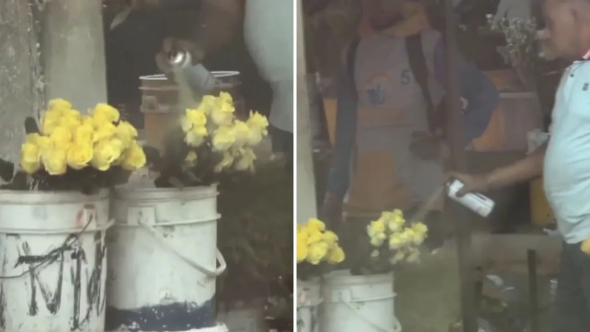 Vendedor se queda sin flores amarillas y tiene una ingeniosa idea: pinta unas blancas y se vuelve viral