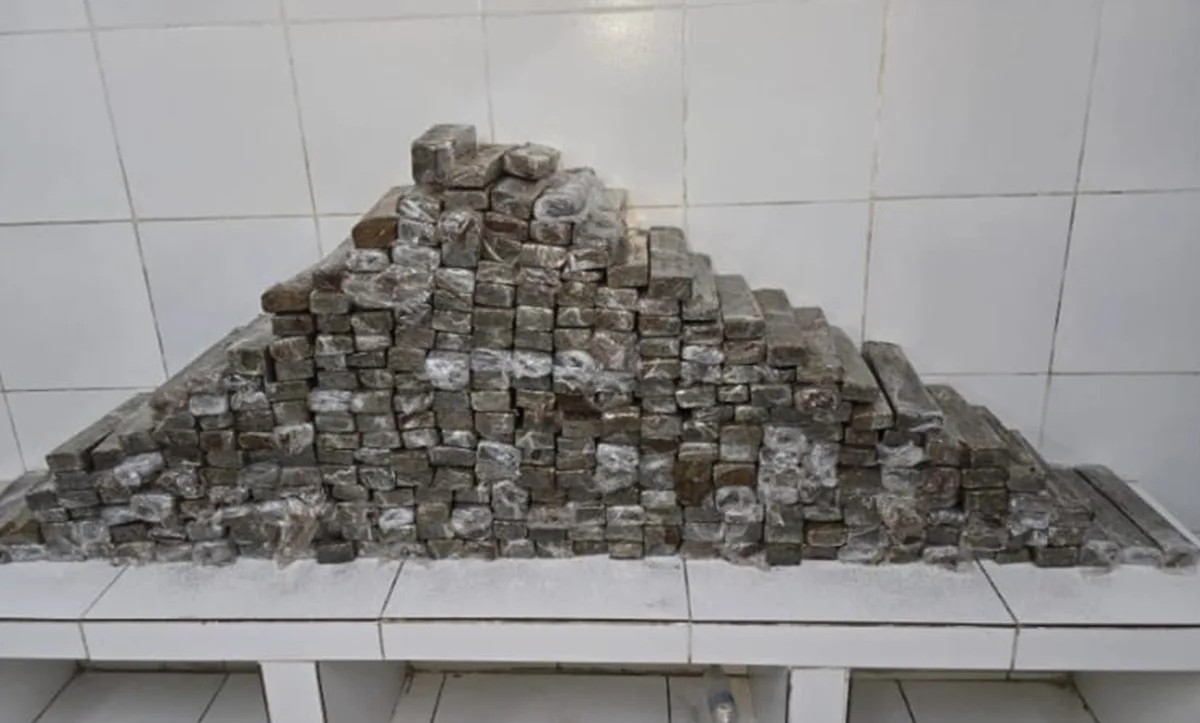 Dois homens são presos com 283 kg de maconha dentro de caminhão na PE-16, no Recife