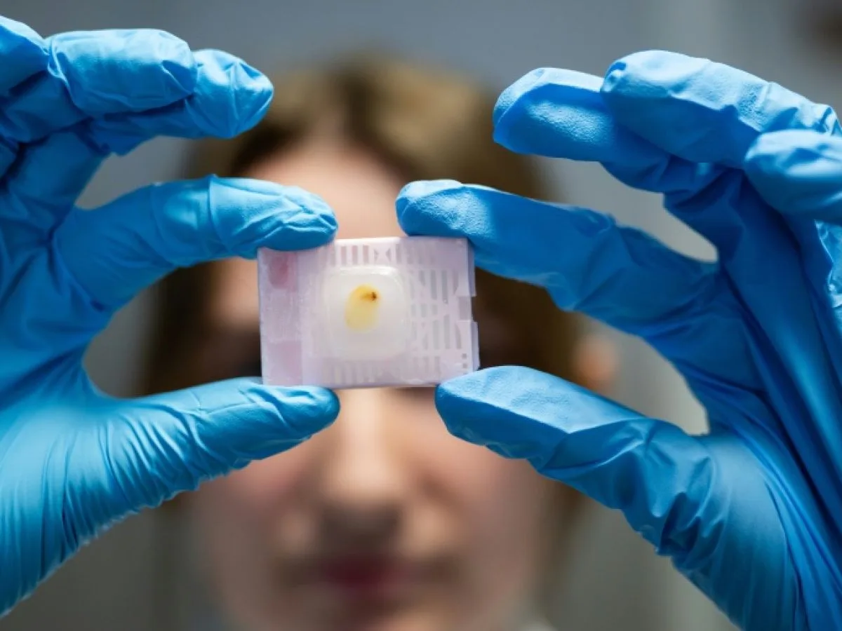 Face au cancer du sein, la recherche nantaise traque les failles des tumeurs