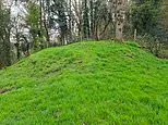 Long-lost battlefield where the Anglo Saxons DESTROYED a Viking army is discovered in Devon - including the burial mound of notorious Northman Ubbe Ragnarsson