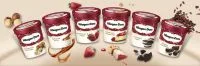 Häagen-Dazs foi criada por jovem que começou vendendo sorvete em carroça, na periferia de Nova York; conheça a história