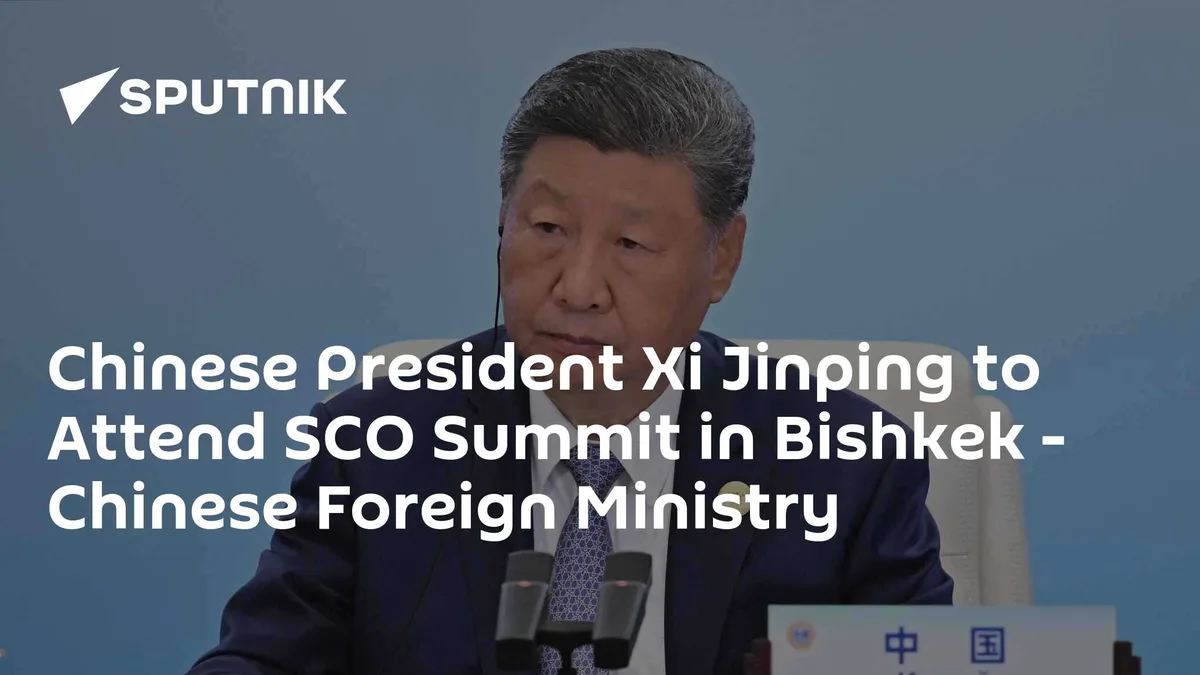 Chinese President Xi Jinping to Attend SCO Summit in Bishkek - Chinese Foreign Ministry