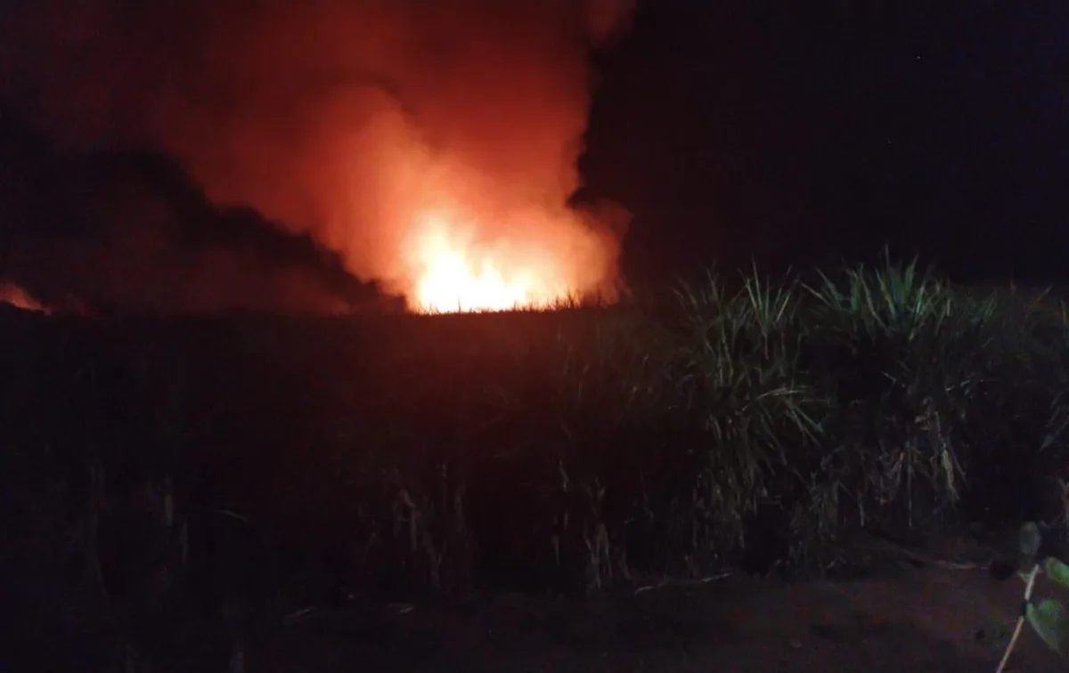 Incêndio atinge canavial e destrói mais de 1 tonelada de cana-de-açúcar no interior de SP