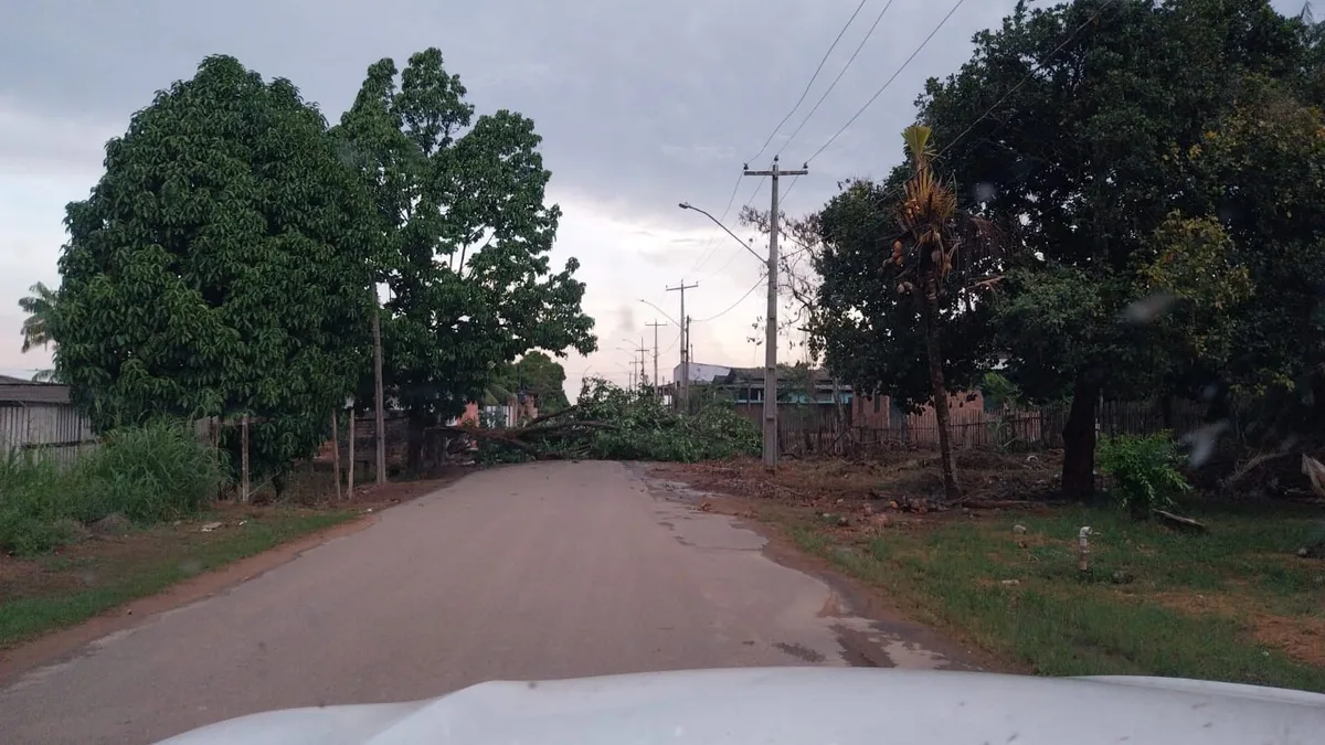 Temporal derruba árvores e interrompe energia em São João da Baliza e Caroebe