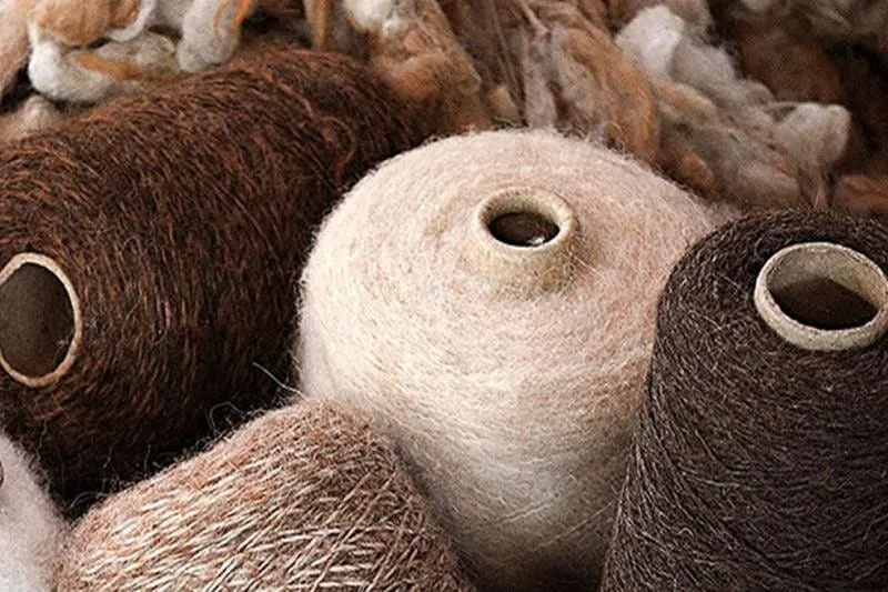 Oro de los Andes: la fibra de vicuña rompe la barrera de USD 330 por kilo y pone a Perú al centro del mercado textil de lujo