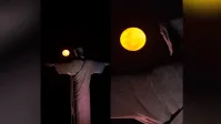 Se você, assim como Musk, sonha com grandes cidades humanas na Lua, provavelmente ficará desapontado. Cientista dizem que não será possível sobreviver