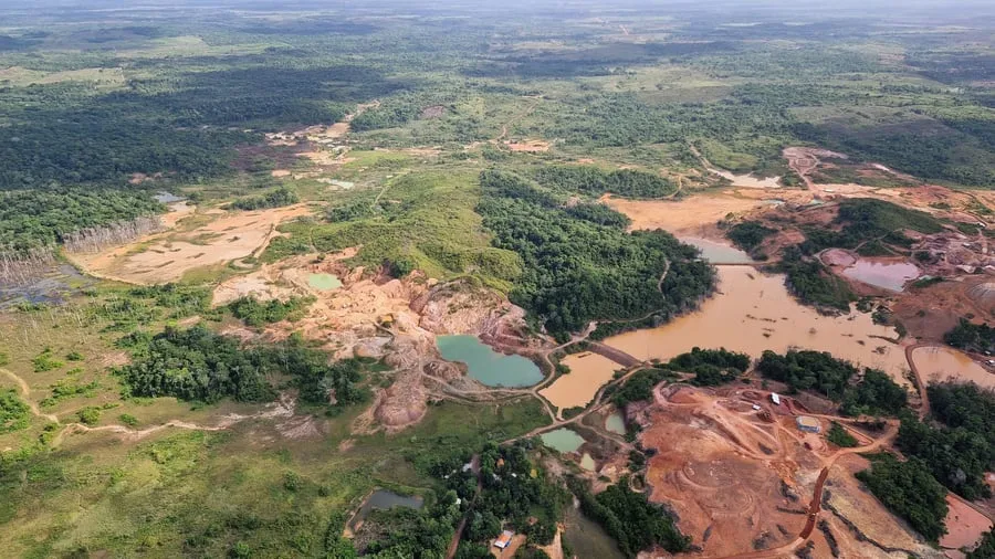 Wälder: Gefährlicher Kurs: Länder holzen viel zu viel Regenwald ab