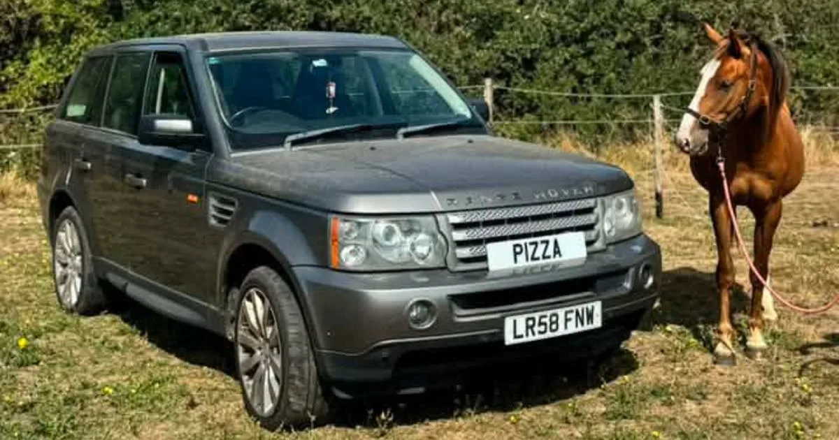 Mulher faz anúncio inusitado e oferece a própria égua em troca de um carro mas se emociona no momento em que um desconhecido surge na publicação e decide dar um Range Rover de graça