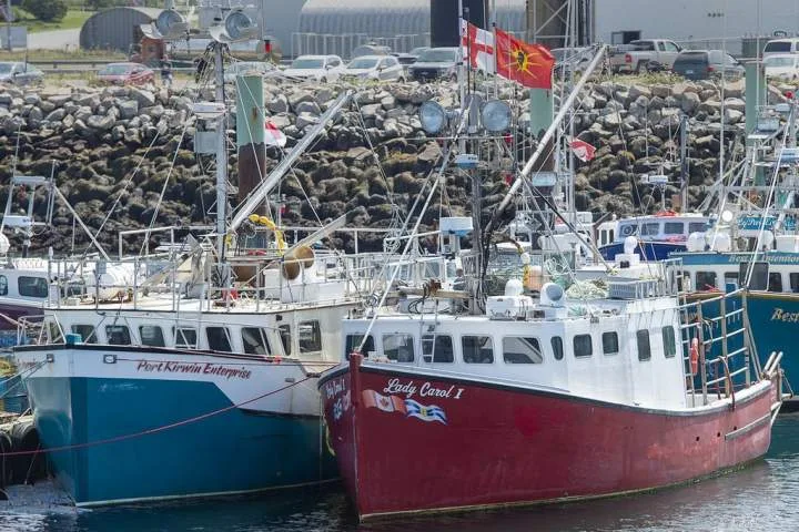N.S. fishers plan appeal after court dismisses lobster treaty rights case