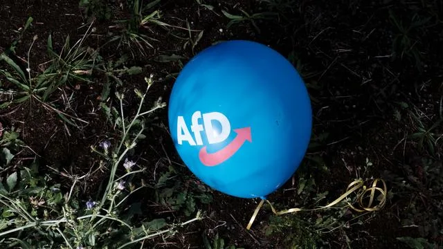 AfD-Wahlerfolge: Auf den Status kommt es an