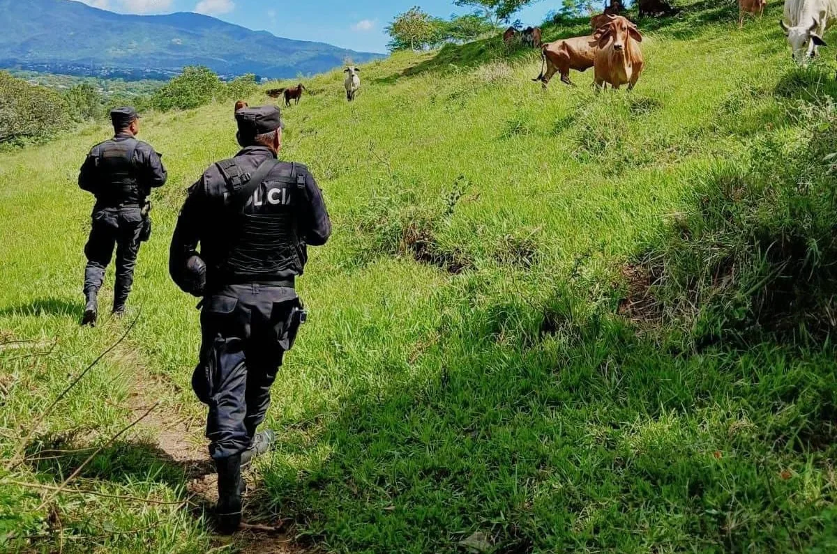 El Salvador acumula cinco homicidios en lo que va de agosto a nivel nacional