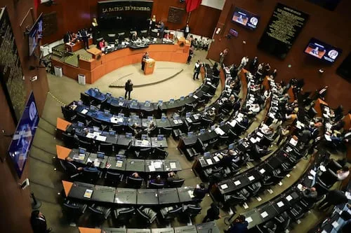 Senado avala reforma para garantizar acceso a alimentos a grupos vulnerables; pasa a San Lázaro