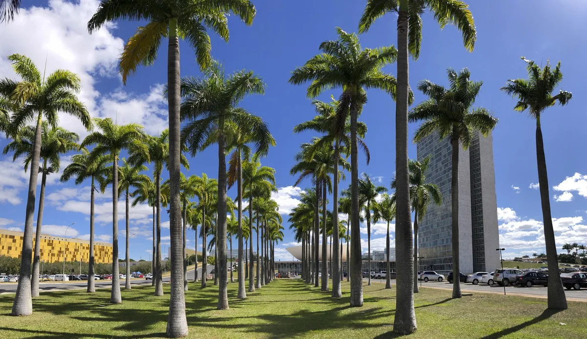 Quem são os candidatos a deputado federal por Goiás (GO) nas eleições 2026