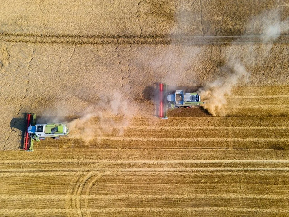 Neue Gentechnik: Der Kampf um das Essen von morgen