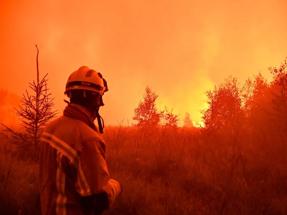 Waldbrände und Hitzetote: Klimawandel? Belgiens Regierung lernt auf die harte Tour